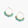 Chan Luu Earrings^Turquoise & Gold Heishi Hoops
